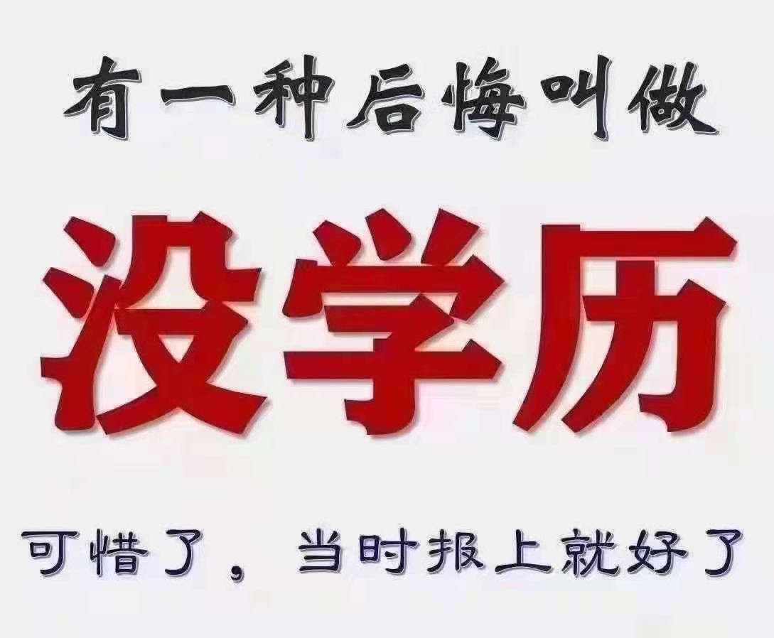 河南函授学历可以考研吗